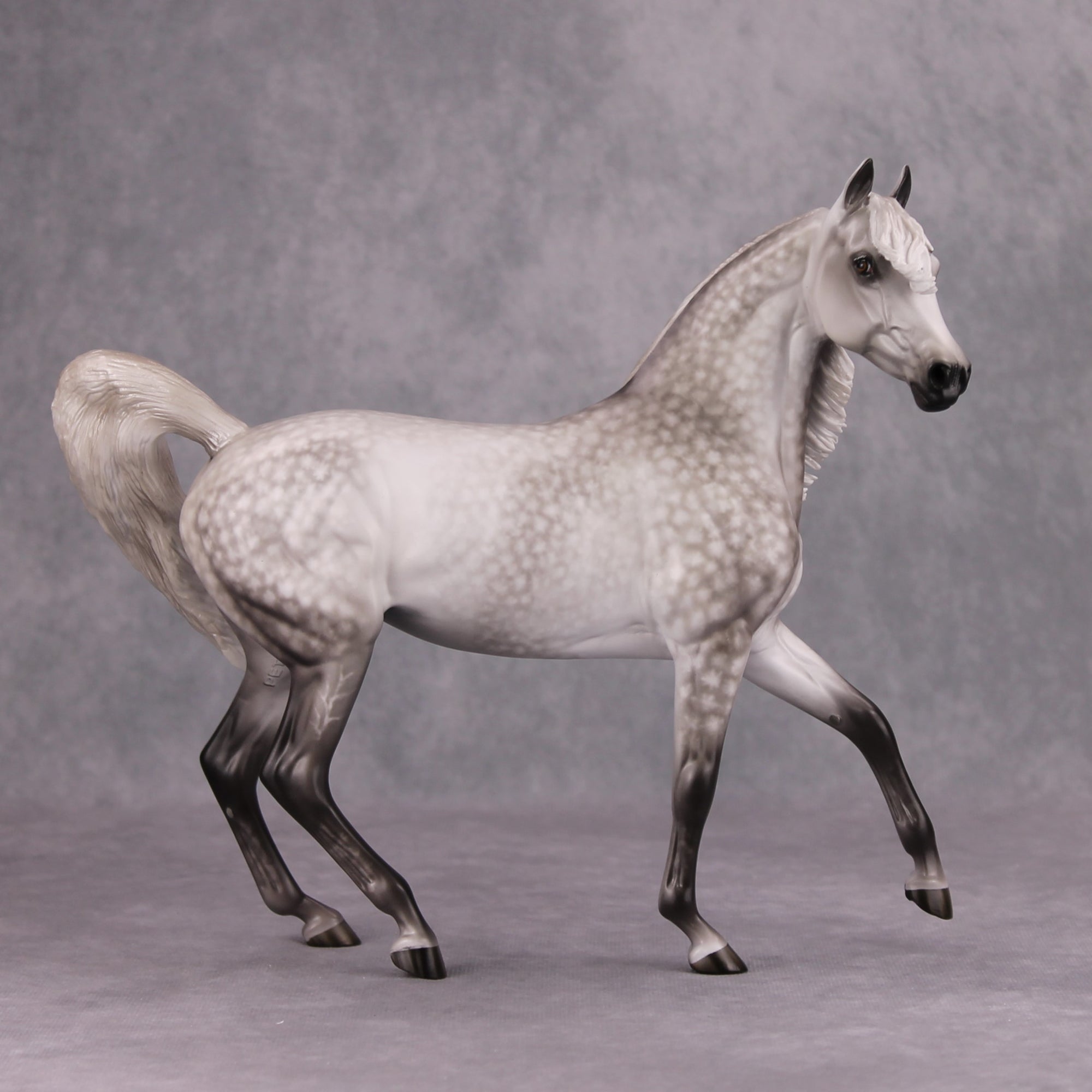 Elko OOAK Dapped Grey Custom Arab Mare By Sheryl Leisure Best Offers 10/29/24