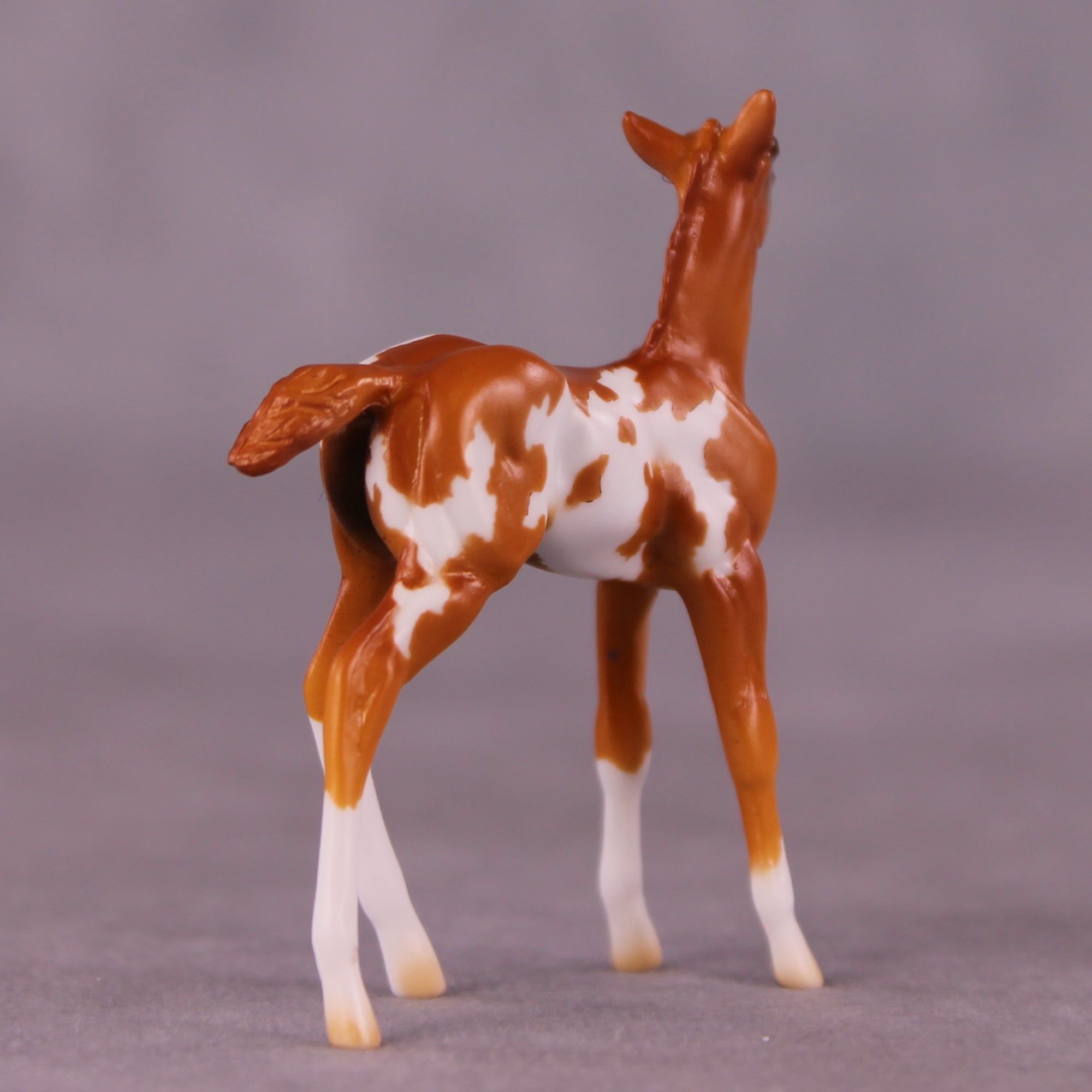Falina OOAK Foal Chip by Erin Corbett EQ25