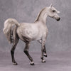 Elko OOAK Dapped Grey Custom Arab Mare By Sheryl Leisure Best Offers 10/29/24