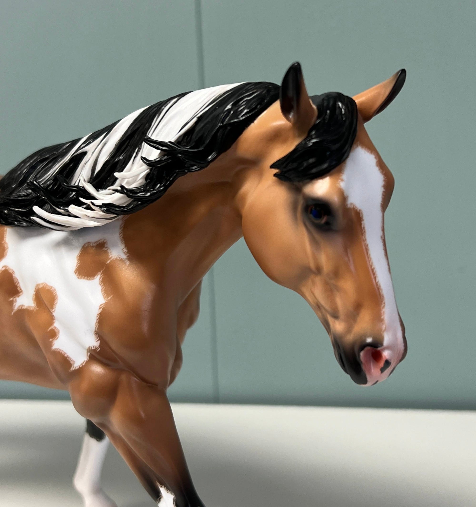 Lombok Dappled Buckskin Paint Remington By Caroline Boydston - Best Offer 5/14/24