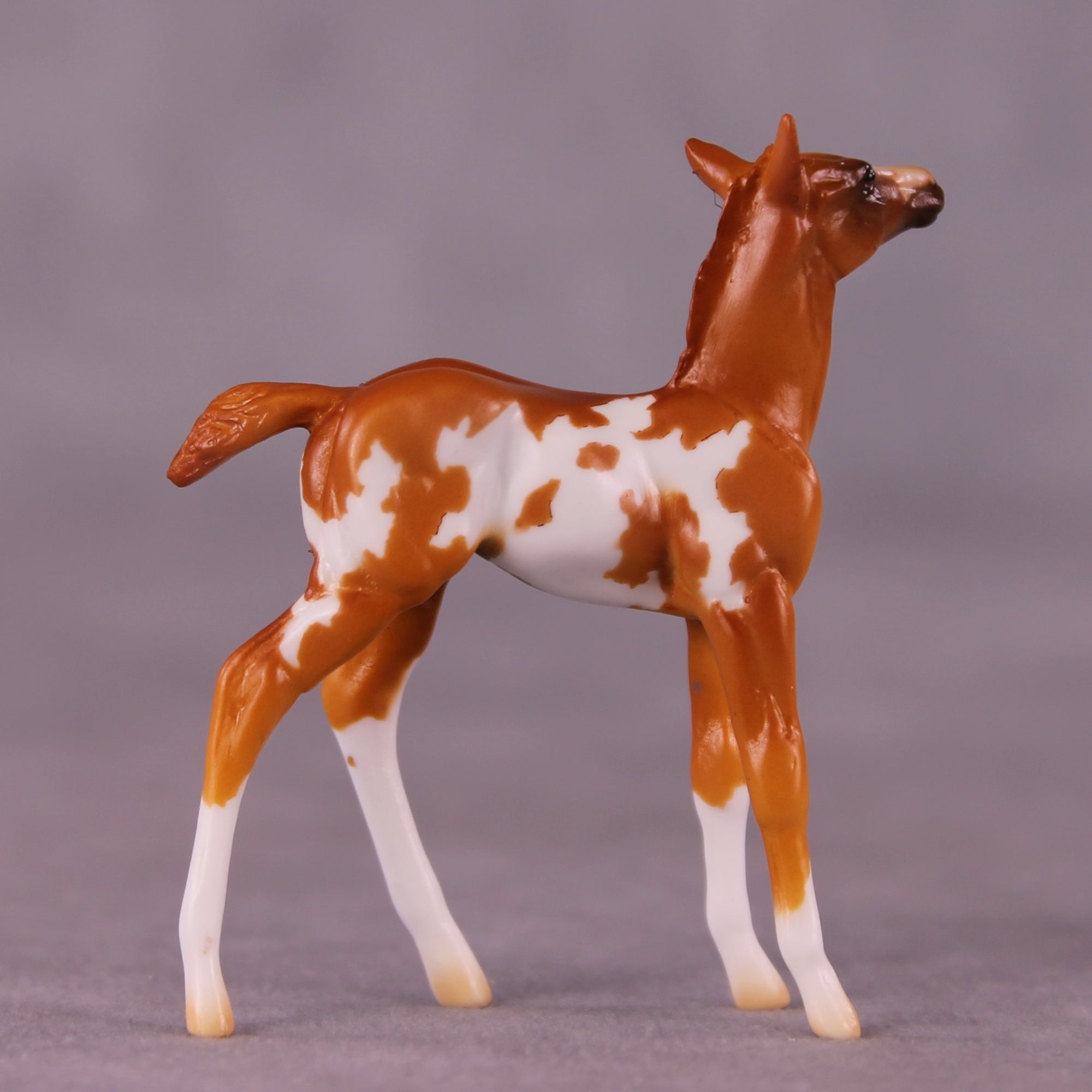 Falina OOAK Foal Chip by Erin Corbett EQ25