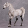 Elko OOAK Dapped Grey Custom Arab Mare By Sheryl Leisure Best Offers 10/29/24