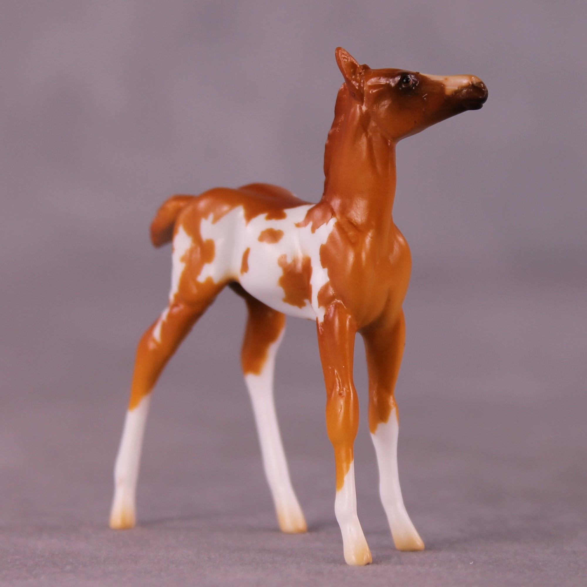 Falina OOAK Foal Chip by Erin Corbett EQ25