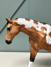 Lombok Dappled Buckskin Paint Remington By Caroline Boydston - Best Offer 5/14/24