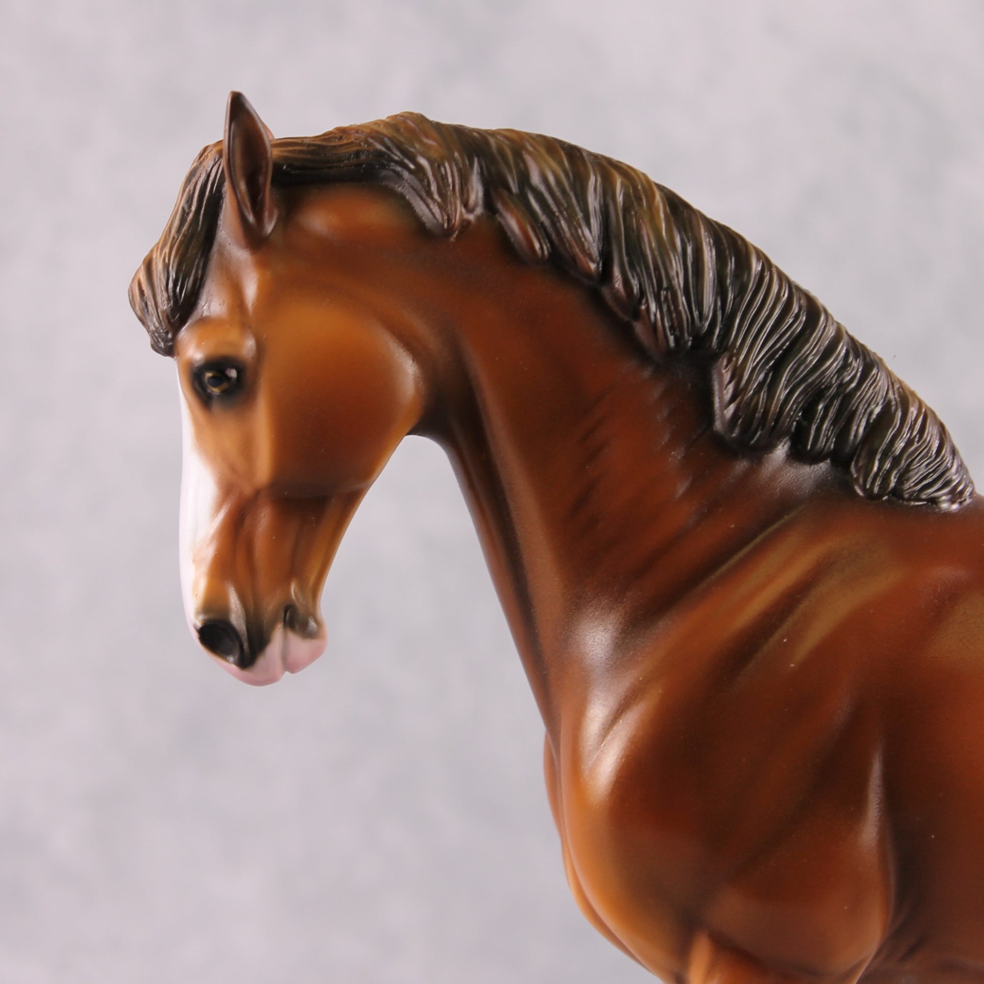 "Turnip" OOAK Sun-bleached Bay Andalusian by Guest Artist Mindy Berg Best Offer 02/25/2025