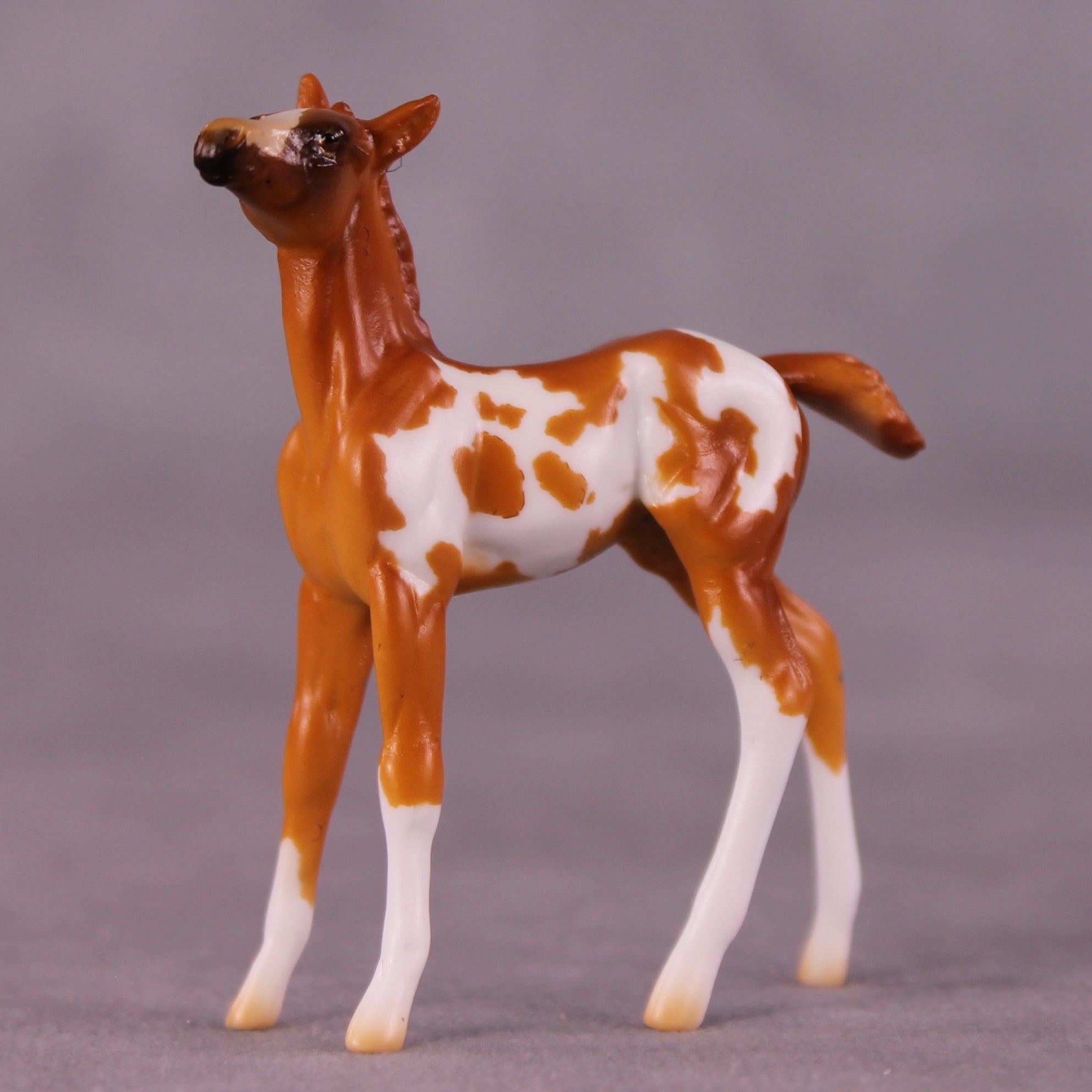 Falina OOAK Foal Chip by Erin Corbett EQ25