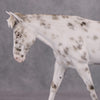 Easy Does It OOAK Appaloosa Mule By Sheryl Leisure - Best Offer 10/29/24