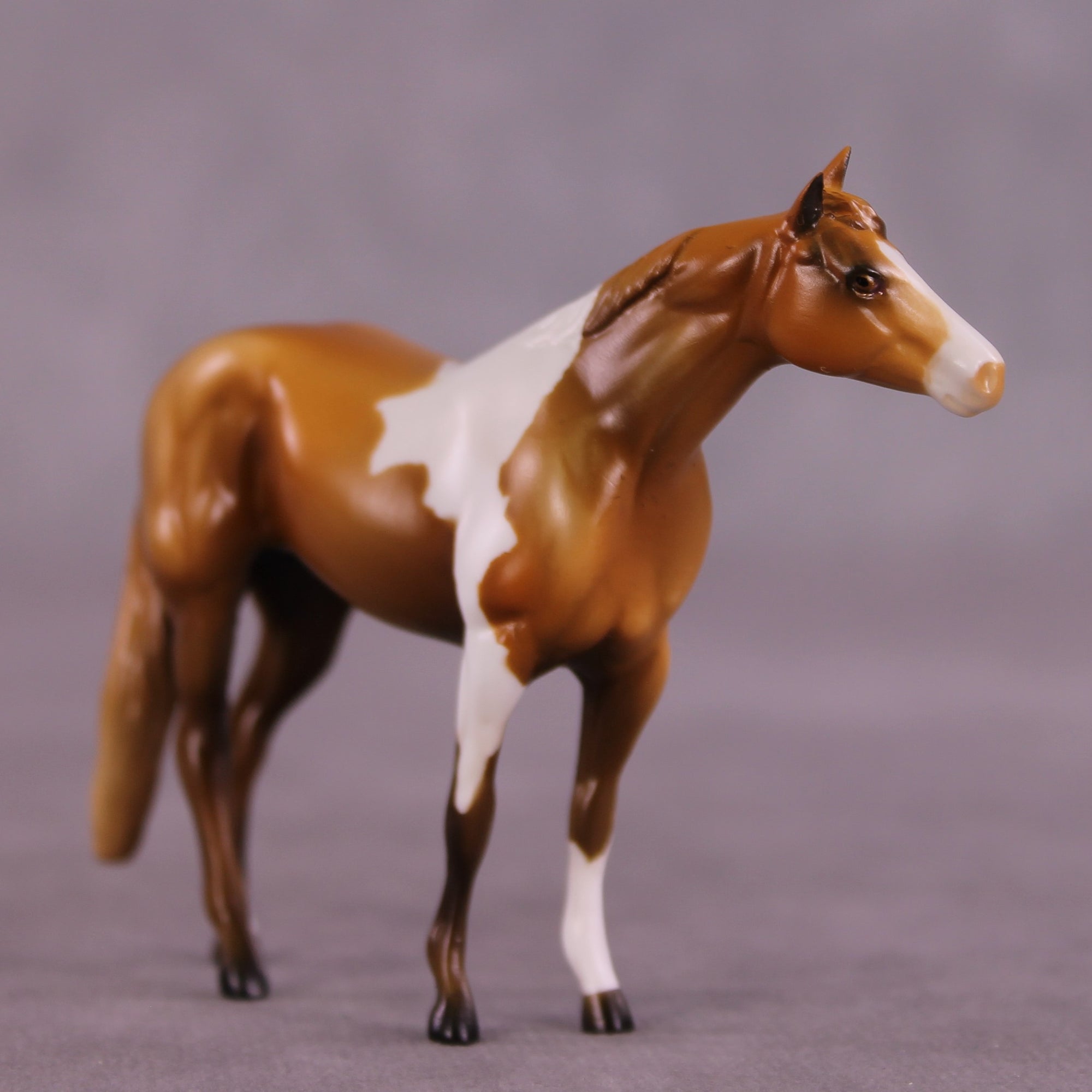 Light Roast OOAK Stock Chip by Kike Duarte EQ25