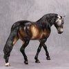 Ademius OOAK Sooty Buckskin Going Grey Custom Irish Draught By Ashley Palmer - Best Offer 10/29/24