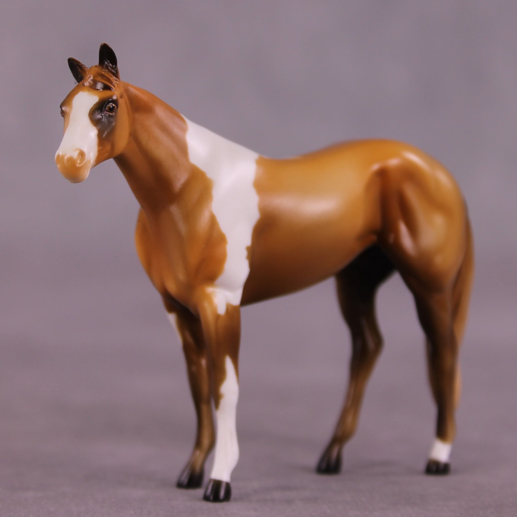 Light Roast OOAK Stock Chip by Kike Duarte EQ25