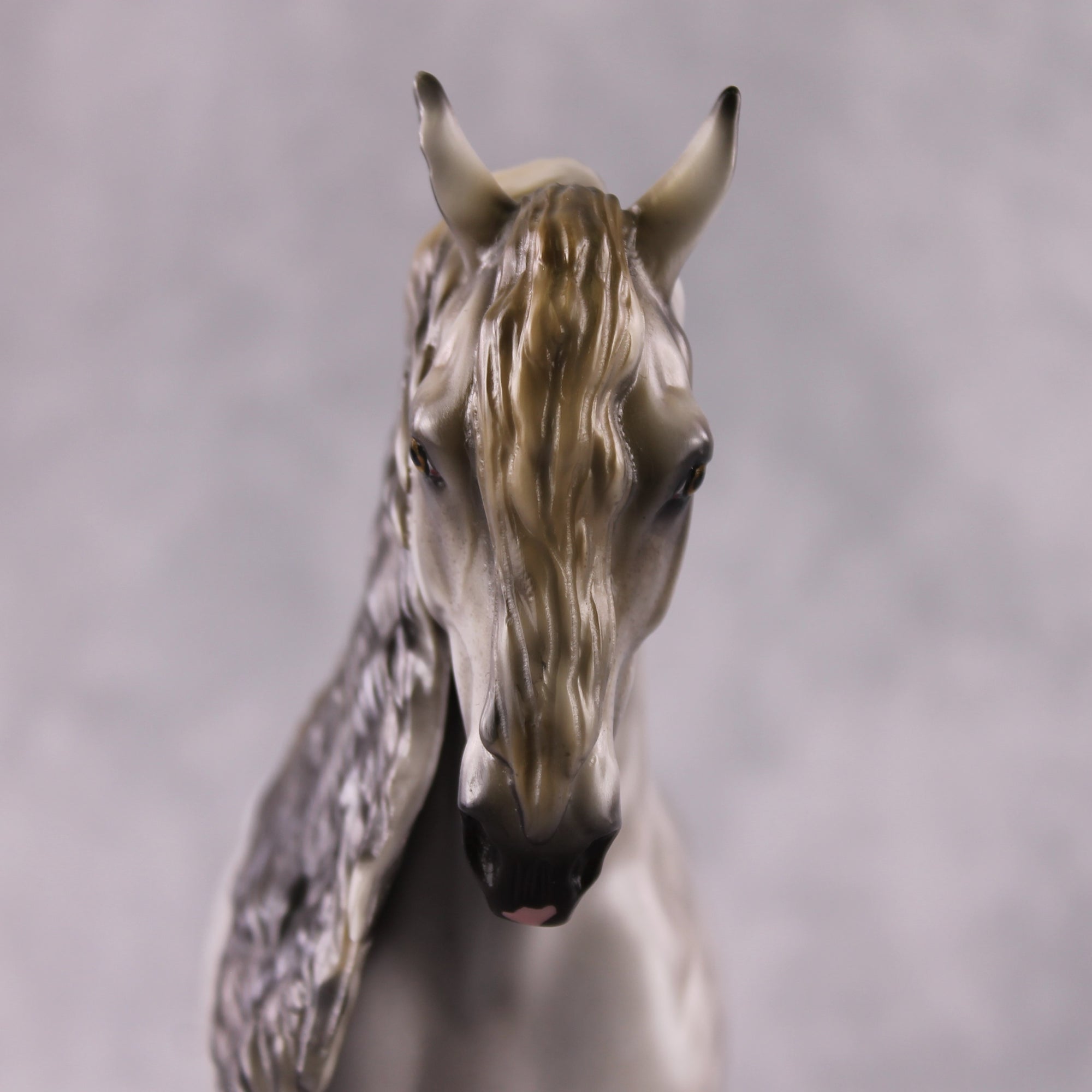 "Pinchy" OOAK FCM Andalusian By Mindy Berg