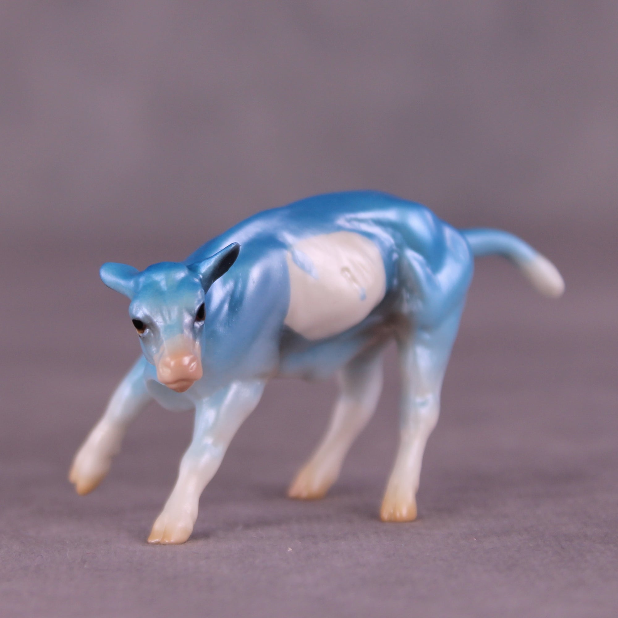 Rare Drop OOAK Calf Chip by Jamie Adamson LHS25