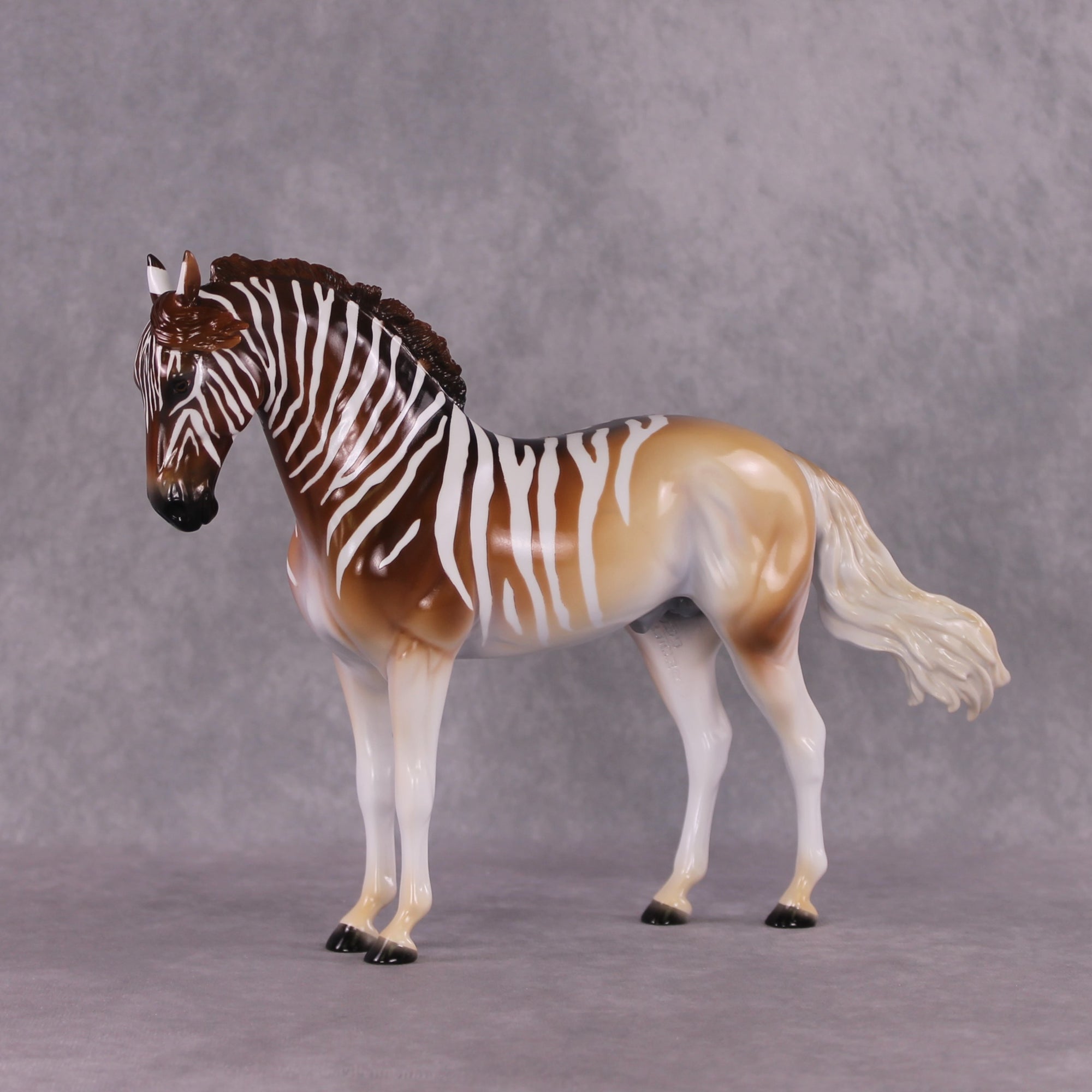 "Lewend Droom" FCM Andalusian By Tegan Davis