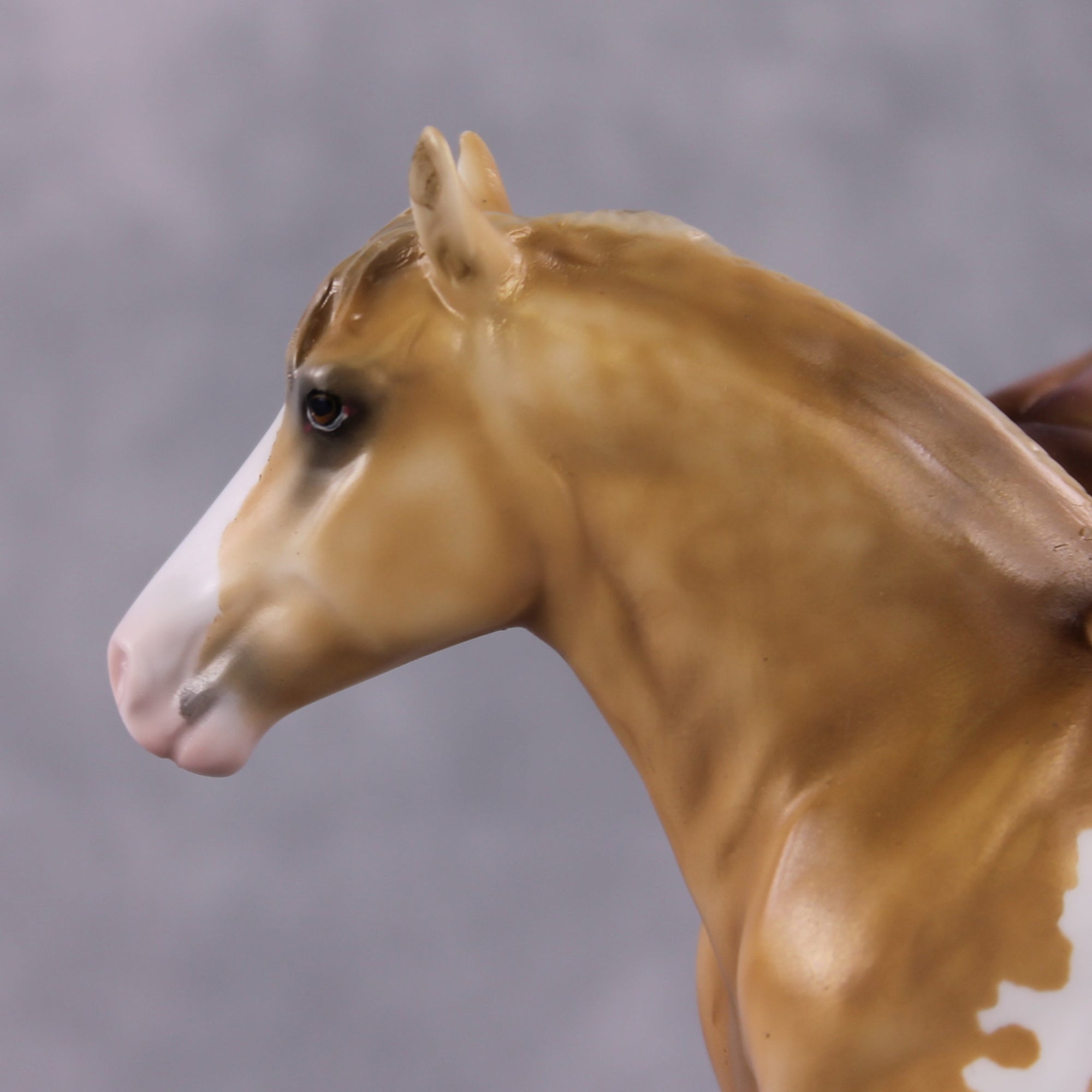 "Allspice" OOAK Deco Dappled Golden Palomino Appaloosa Winged Pebble Draft By Guest Artist Mindy Berg