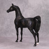 The Black OOAK Shimmering Shaded Black Custom Arabian By Maggie Jenner-Bennett By - Best Offer 10/29/24