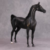 The Black OOAK Shimmering Shaded Black Custom Arabian By Maggie Jenner-Bennett By - Best Offer 10/29/24