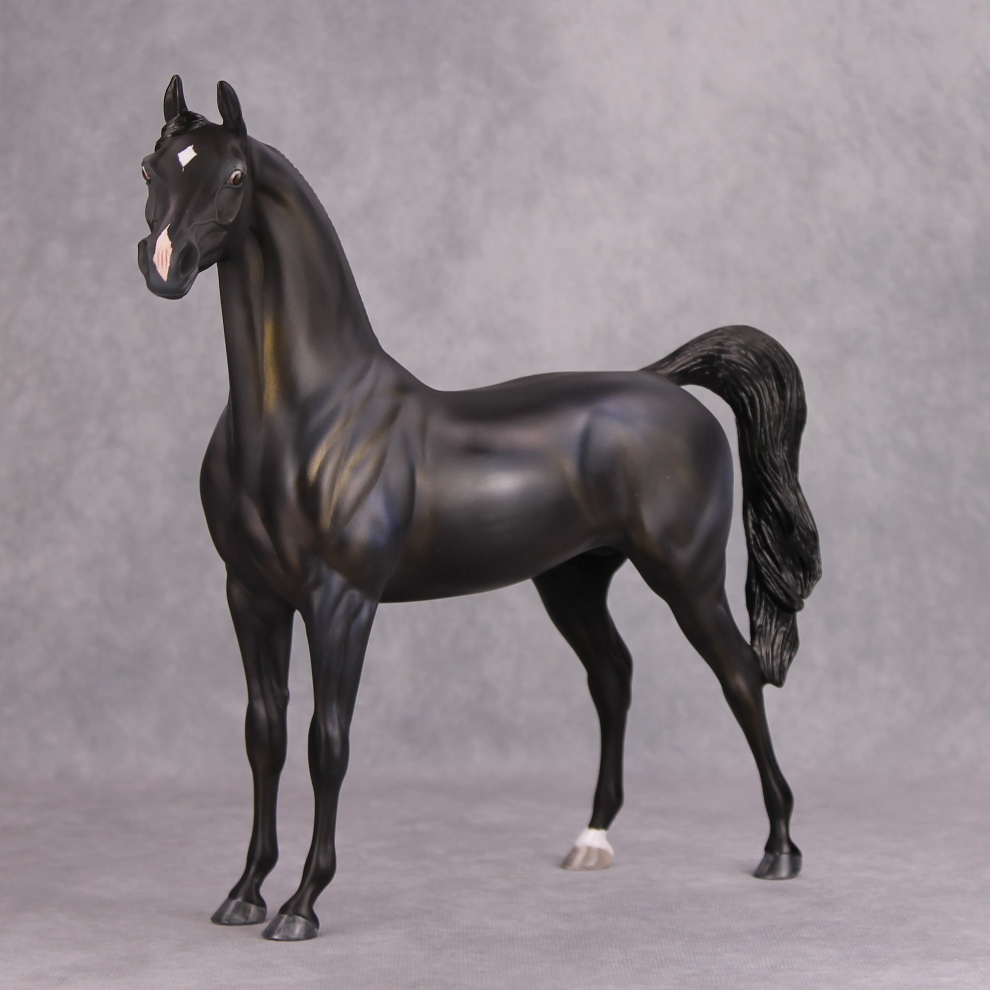 The Black OOAK Shimmering Shaded Black Custom Arabian By Maggie Jenner-Bennett By - Best Offer 10/29/24