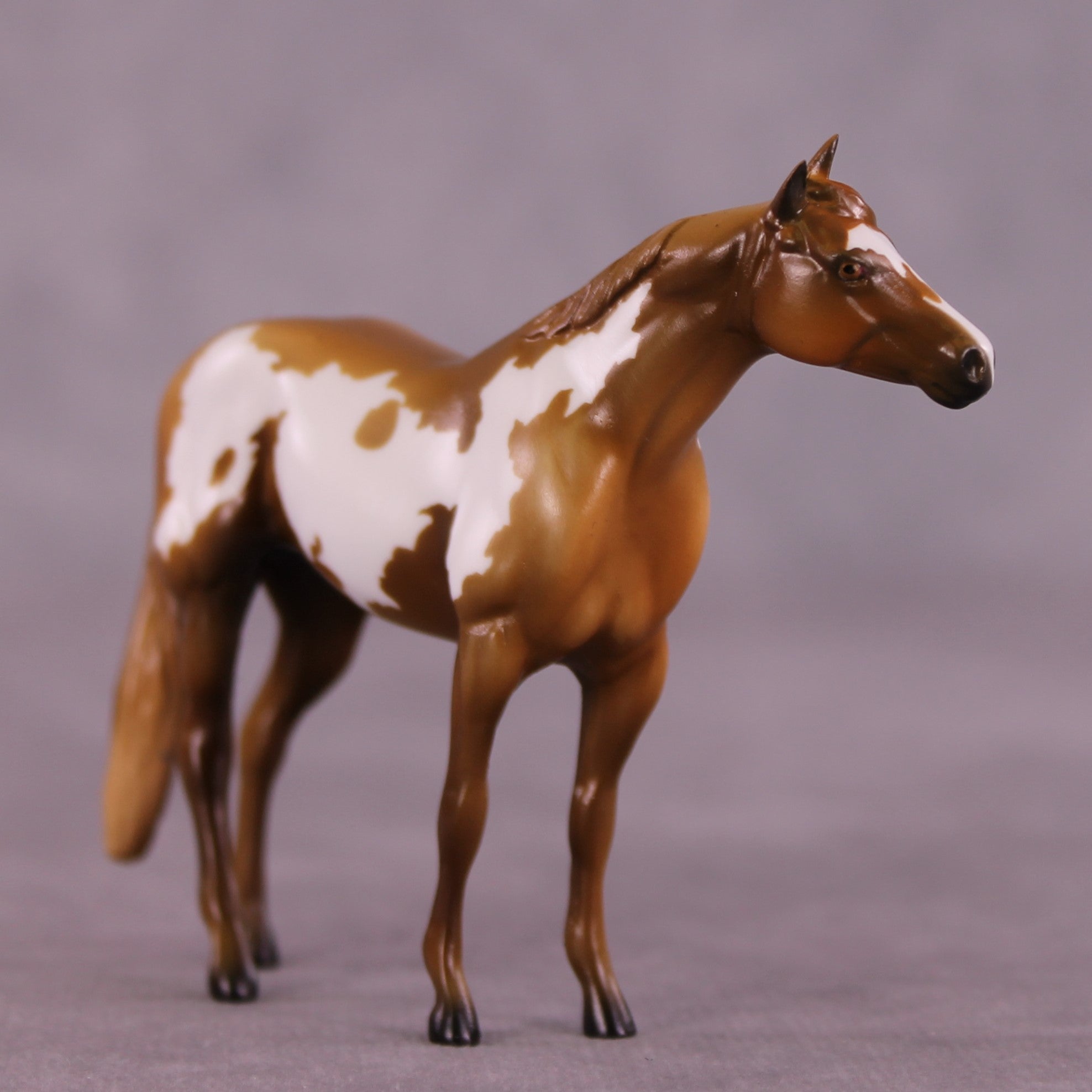 Daily Grind OOAK Stock Chip by Kike Duarte EQ25