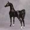 Back In Black OOAK Sunburnt Black Custom Arabian By Maggie Jenner-Bennett By - Best Offer 10/29/24