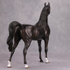 Back In Black OOAK Sunburnt Black Custom Arabian By Maggie Jenner-Bennett By - Best Offer 10/29/24