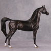 Back In Black OOAK Sunburnt Black Custom Arabian By Maggie Jenner-Bennett By - Best Offer 10/29/24