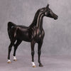 Back In Black OOAK Sunburnt Black Custom Arabian By Maggie Jenner-Bennett By - Best Offer 10/29/24