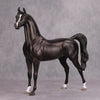 Back In Black OOAK Sunburnt Black Custom Arabian By Maggie Jenner-Bennett By - Best Offer 10/29/24