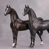 Back In Black OOAK Sunburnt Black Custom Arabian By Maggie Jenner-Bennett By - Best Offer 10/29/24