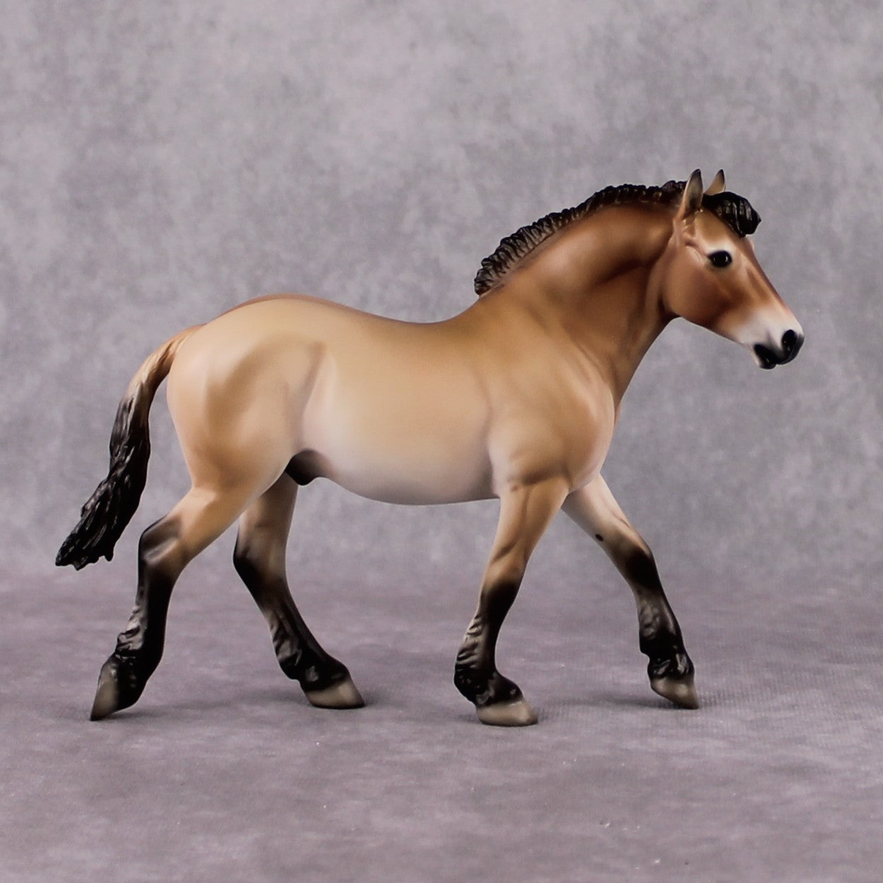 "Takhi" SAMPLE FCM Pebble Draft By Jess Hamill