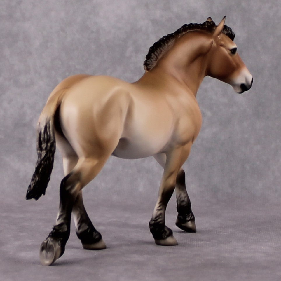 "Takhi" SAMPLE FCM Pebble Draft By Jess Hamill