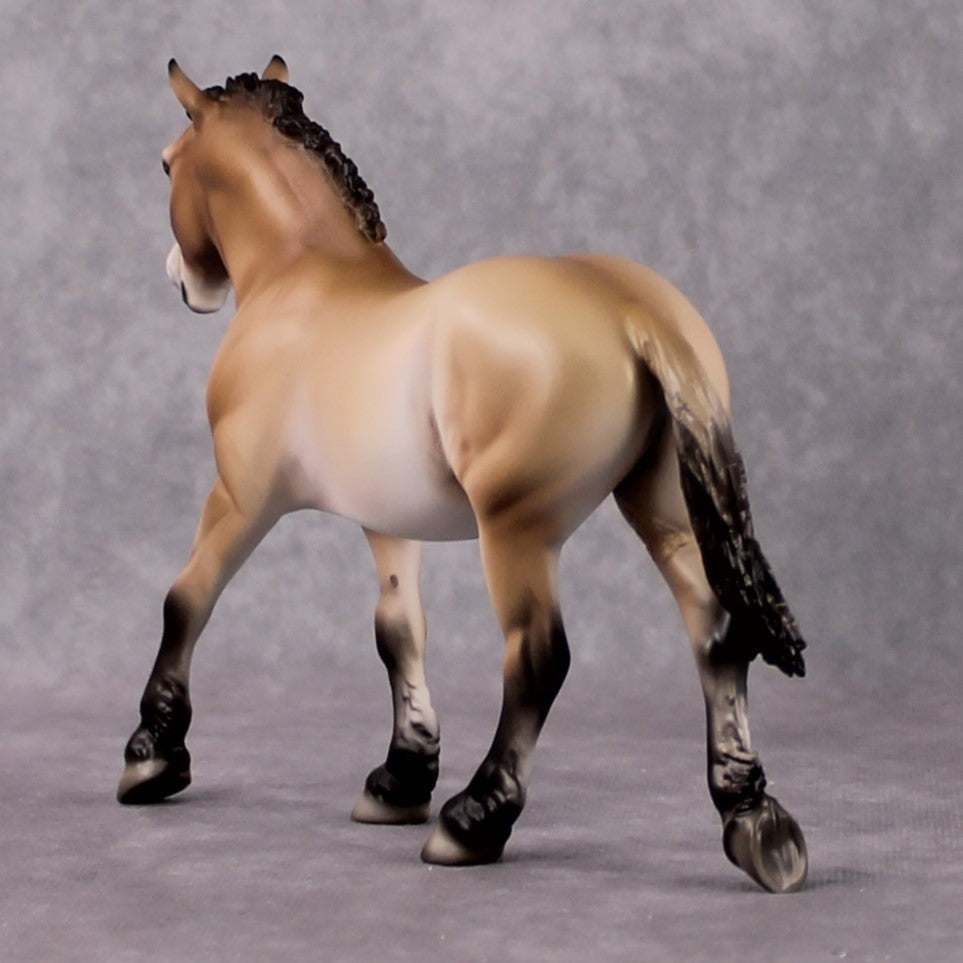 "Takhi" SAMPLE FCM Pebble Draft By Jess Hamill