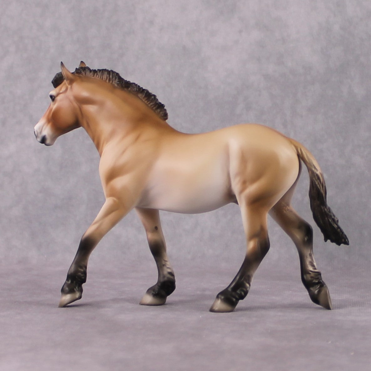 "Takhi" SAMPLE FCM Pebble Draft By Jess Hamill