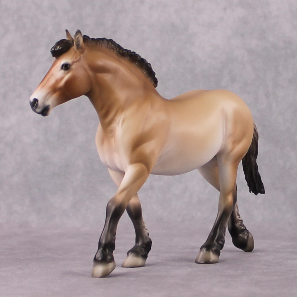 "Takhi" SAMPLE FCM Pebble Draft By Jess Hamill