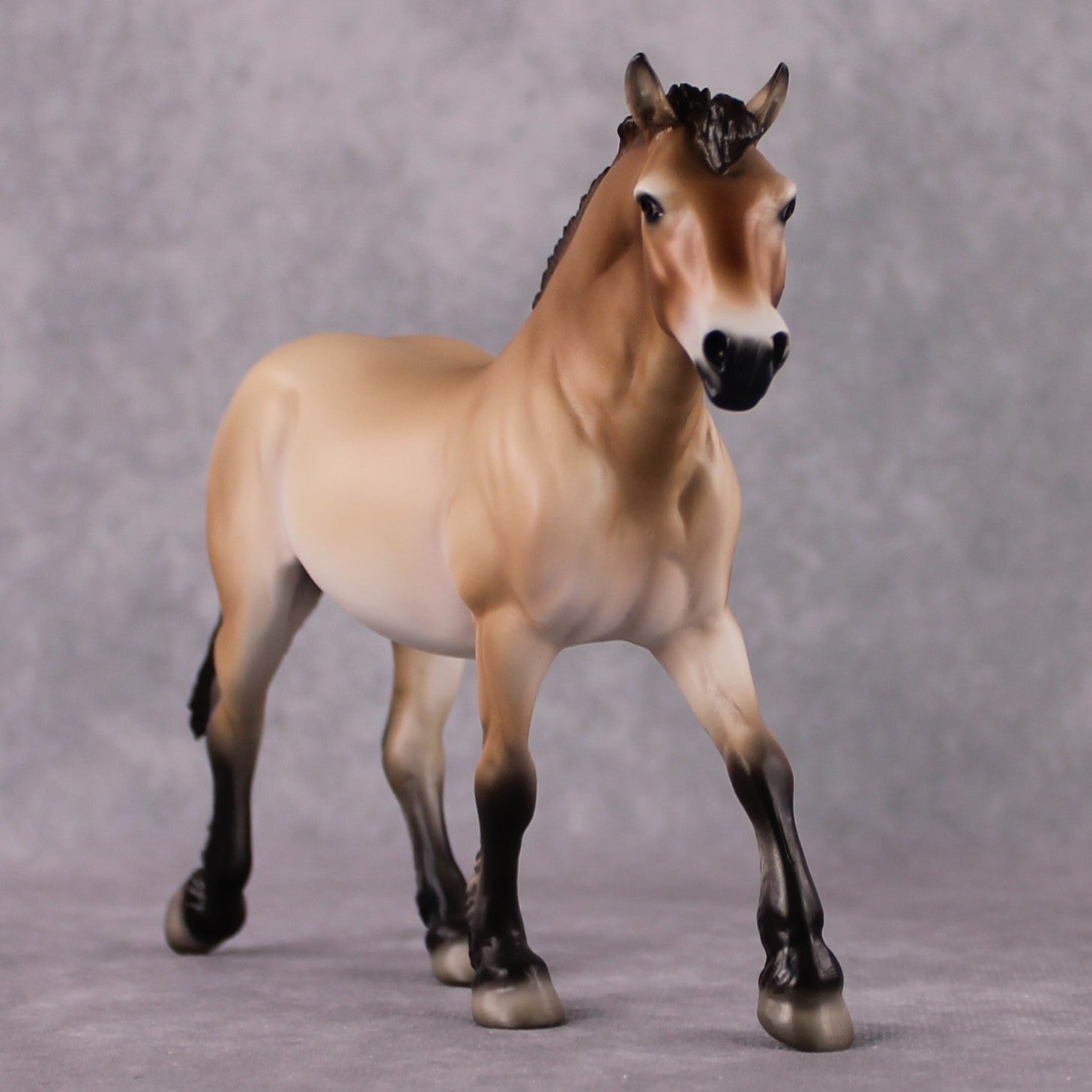 "Takhi" SAMPLE FCM Pebble Draft By Jess Hamill