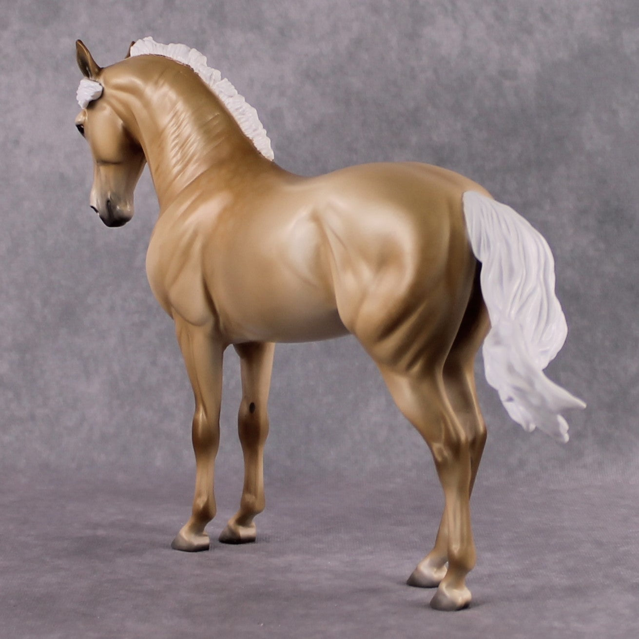 "Rapunzel's Prince" SAMPLE FCM Andalusian by Jess Hamill