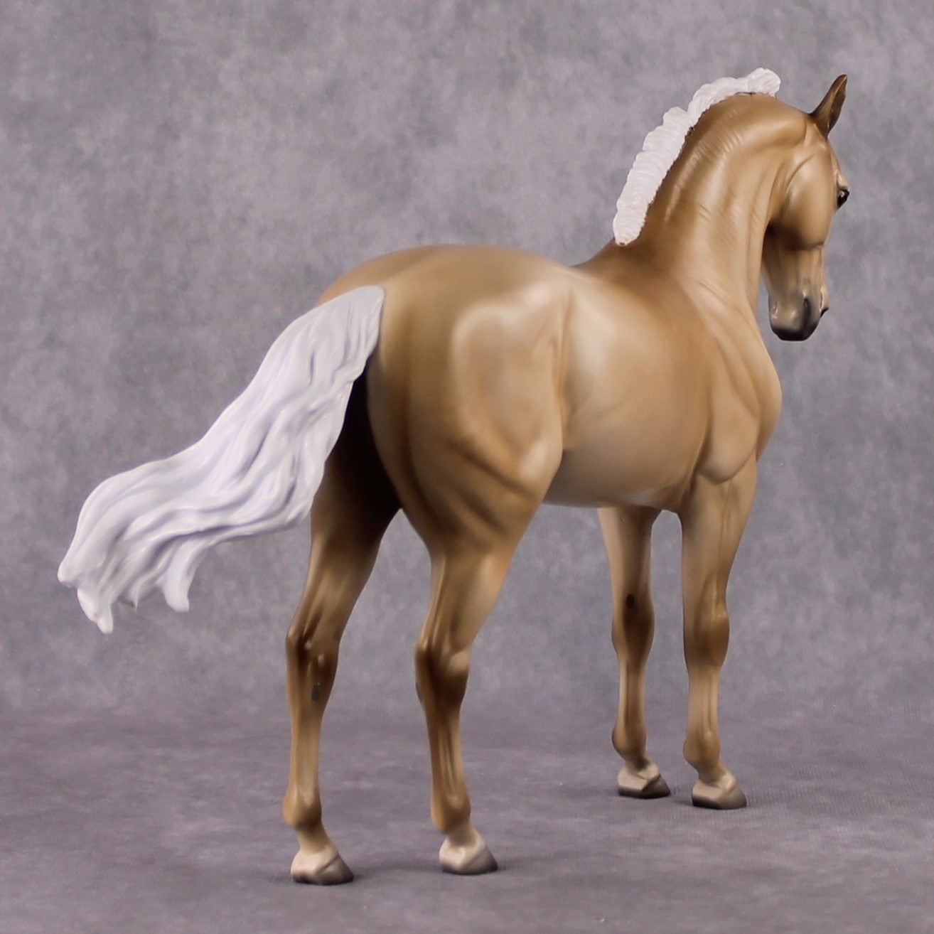 "Rapunzel's Prince" SAMPLE FCM Andalusian by Jess Hamill