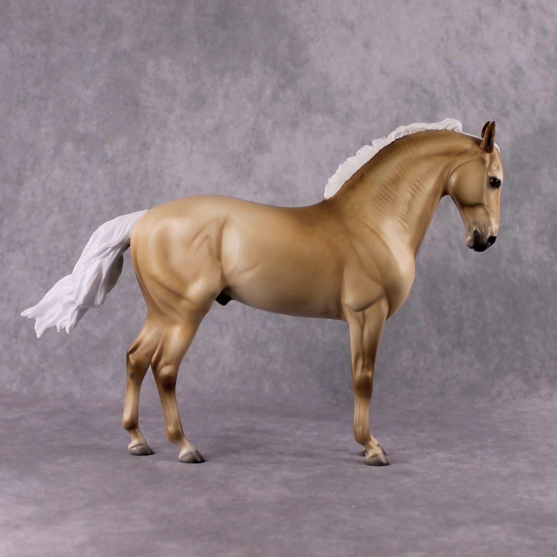 "Rapunzel's Prince" SAMPLE FCM Andalusian by Jess Hamill