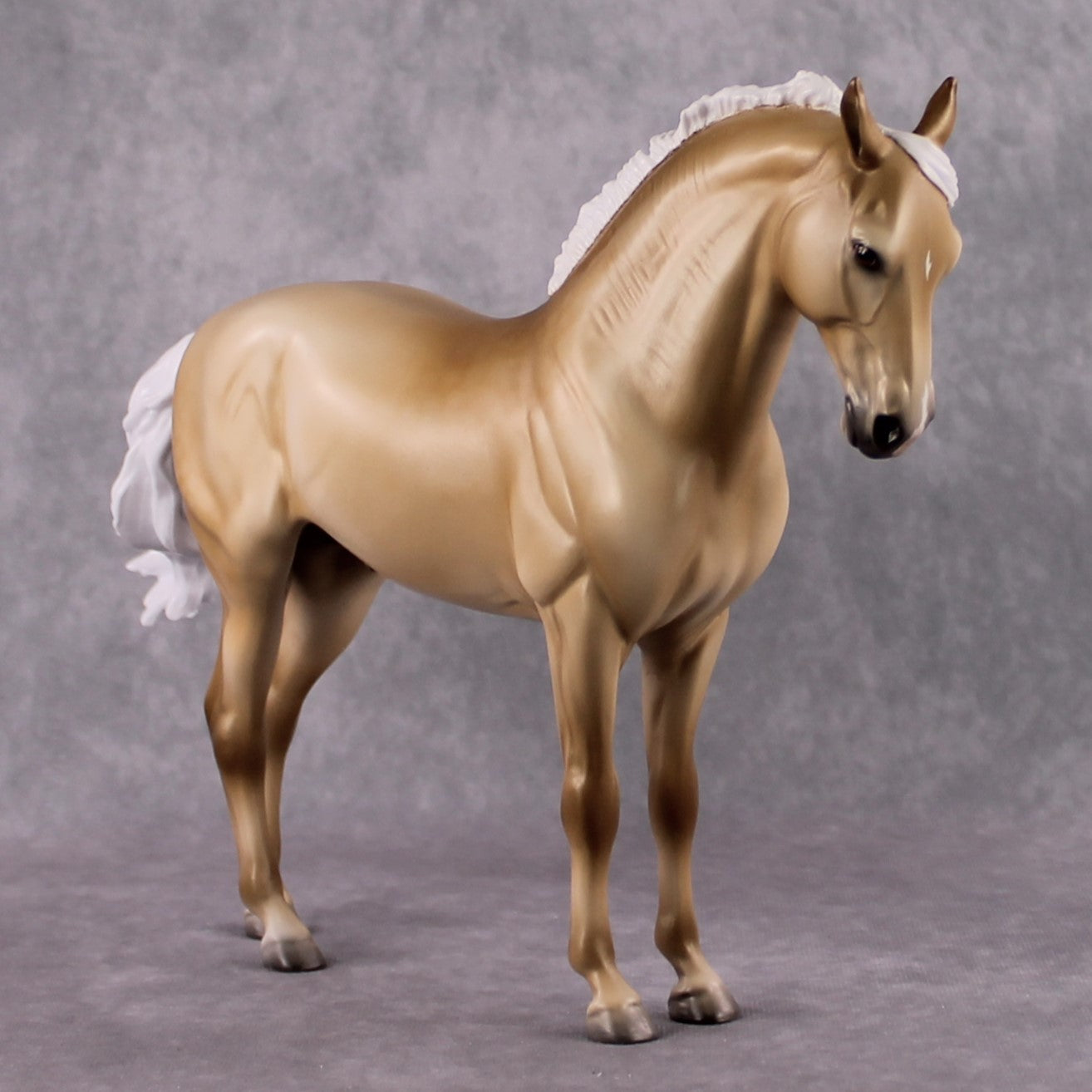 "Rapunzel's Prince" SAMPLE FCM Andalusian by Jess Hamill