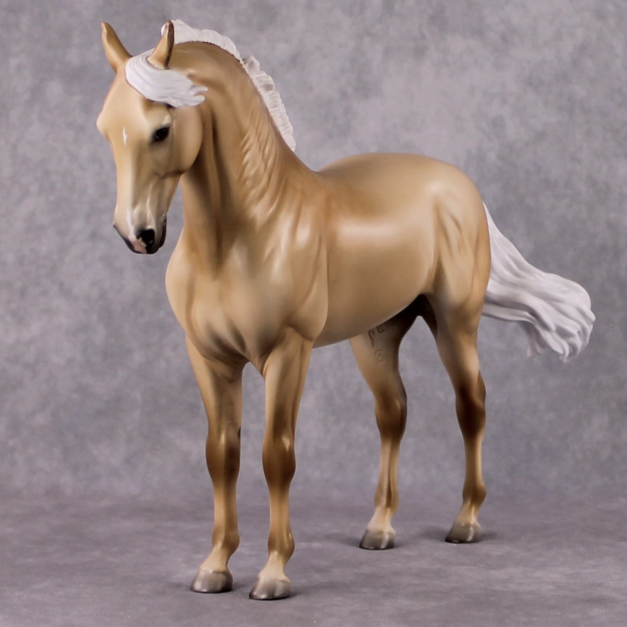 "Rapunzel's Prince" SAMPLE FCM Andalusian by Jess Hamill