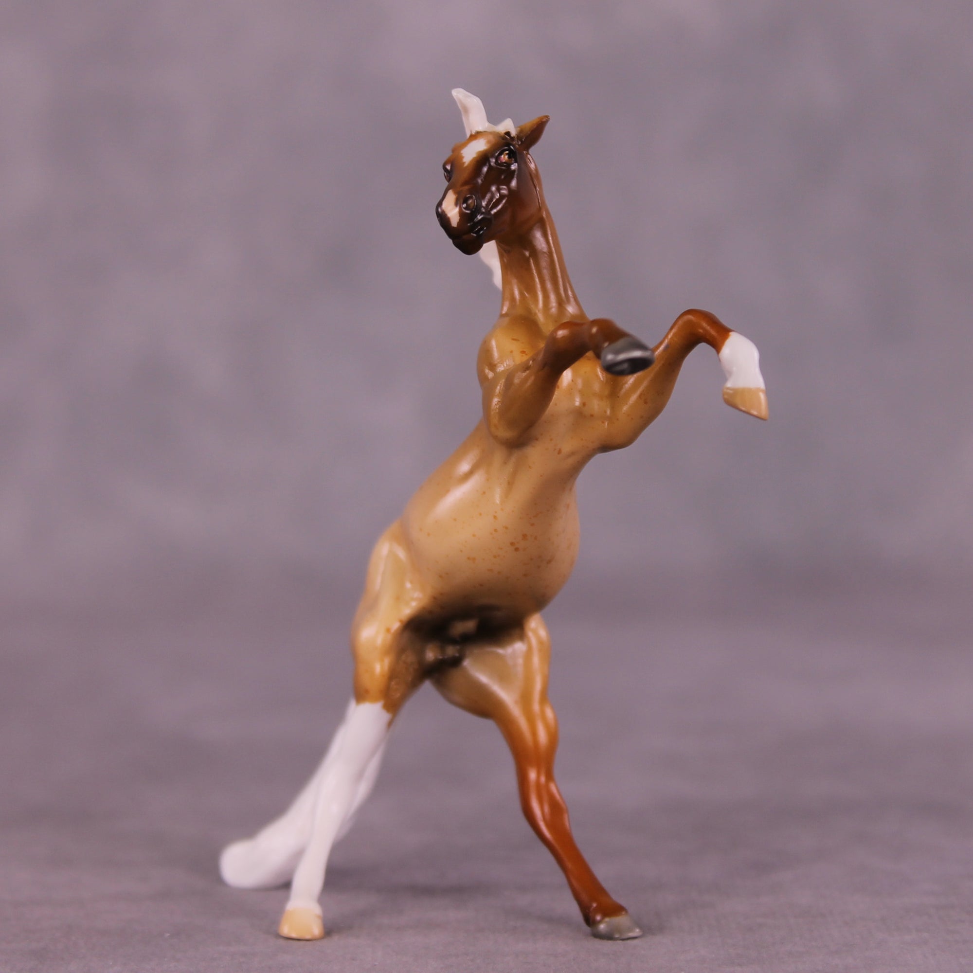 Howard OOAK Rearing Chip by Anna Rieck LHS25