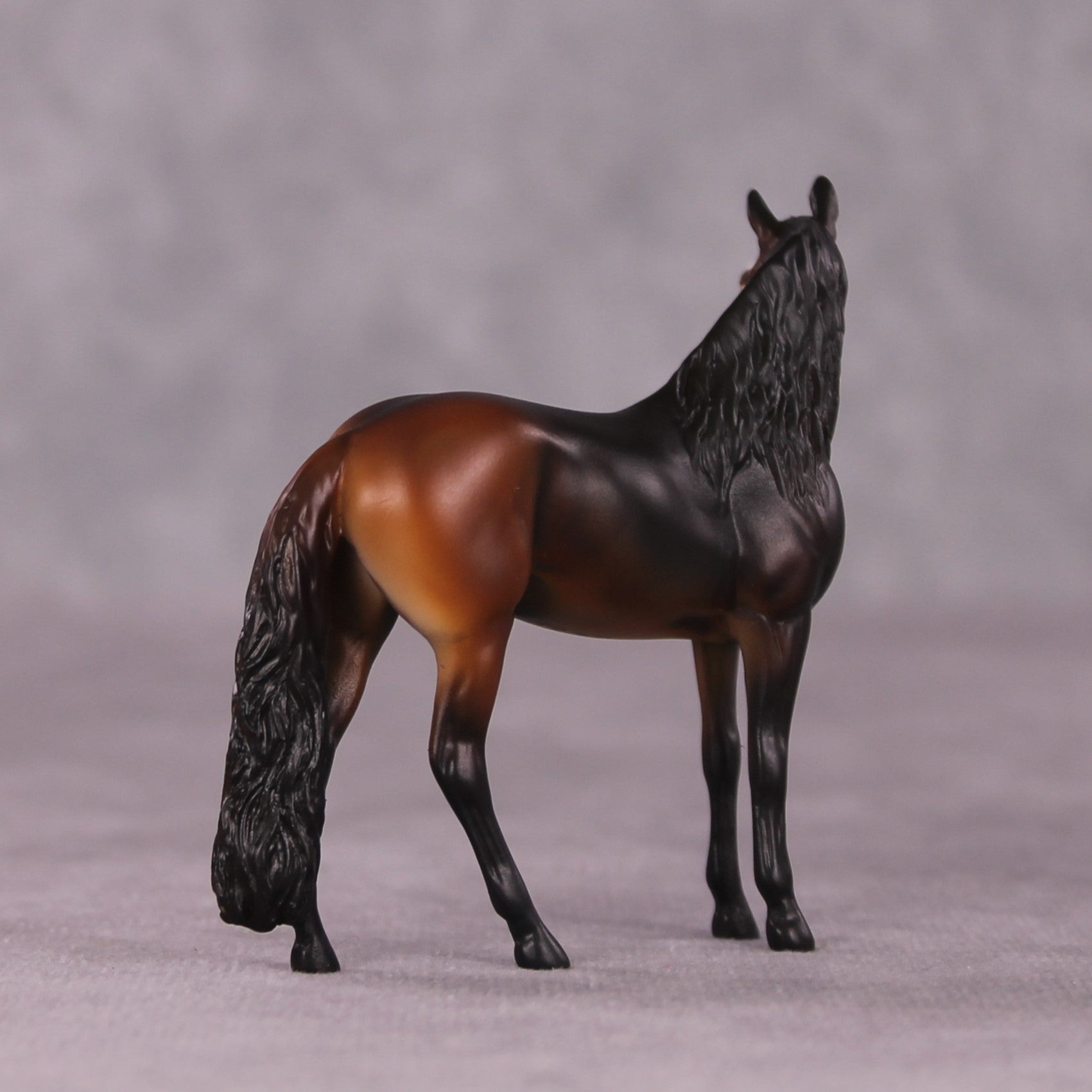 "Mmusi" FCM Andalusian Chip by Tegan Davis
