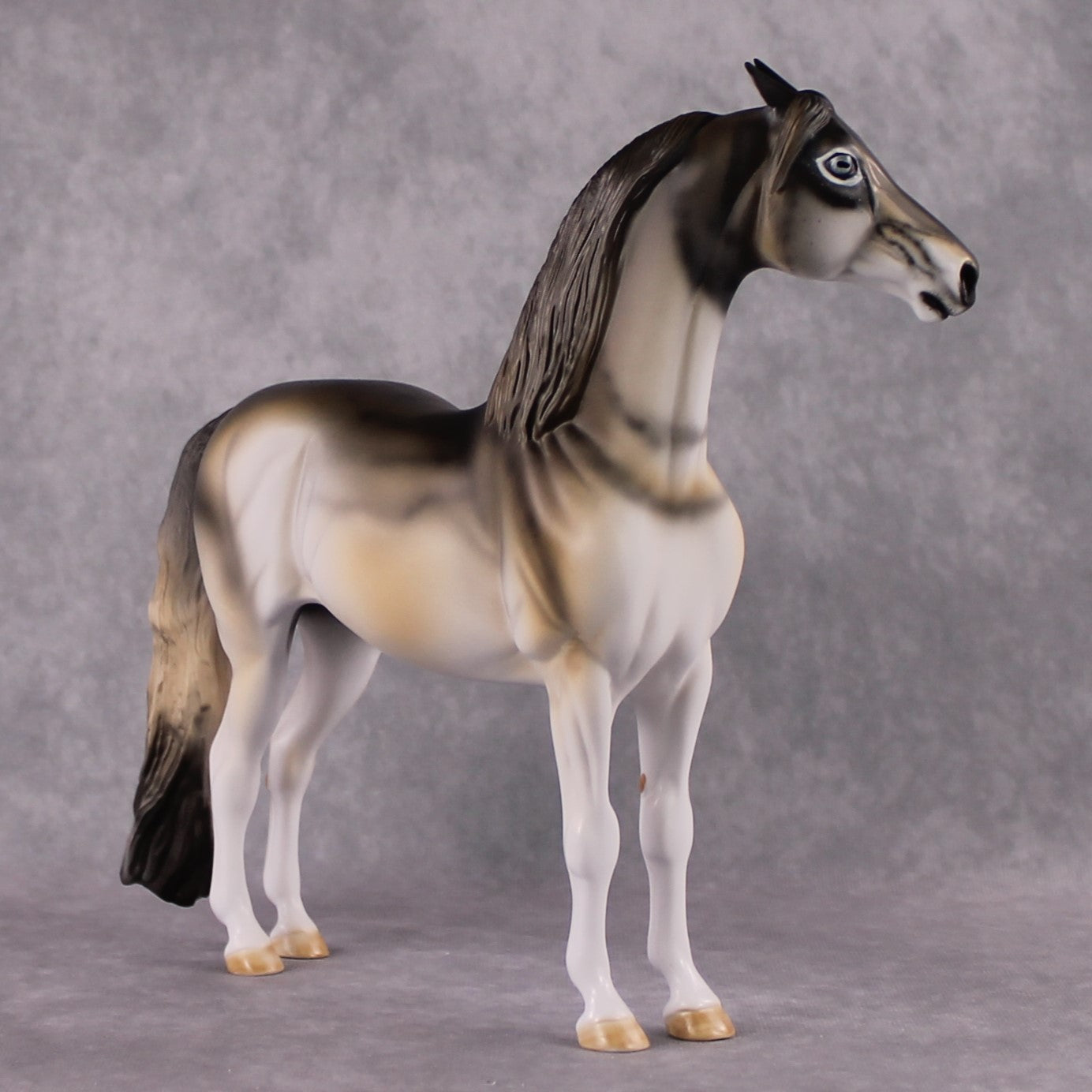 &quot;Big Bad Wolf&quot; SAMPLE FCM Morgan By Dawn Quick