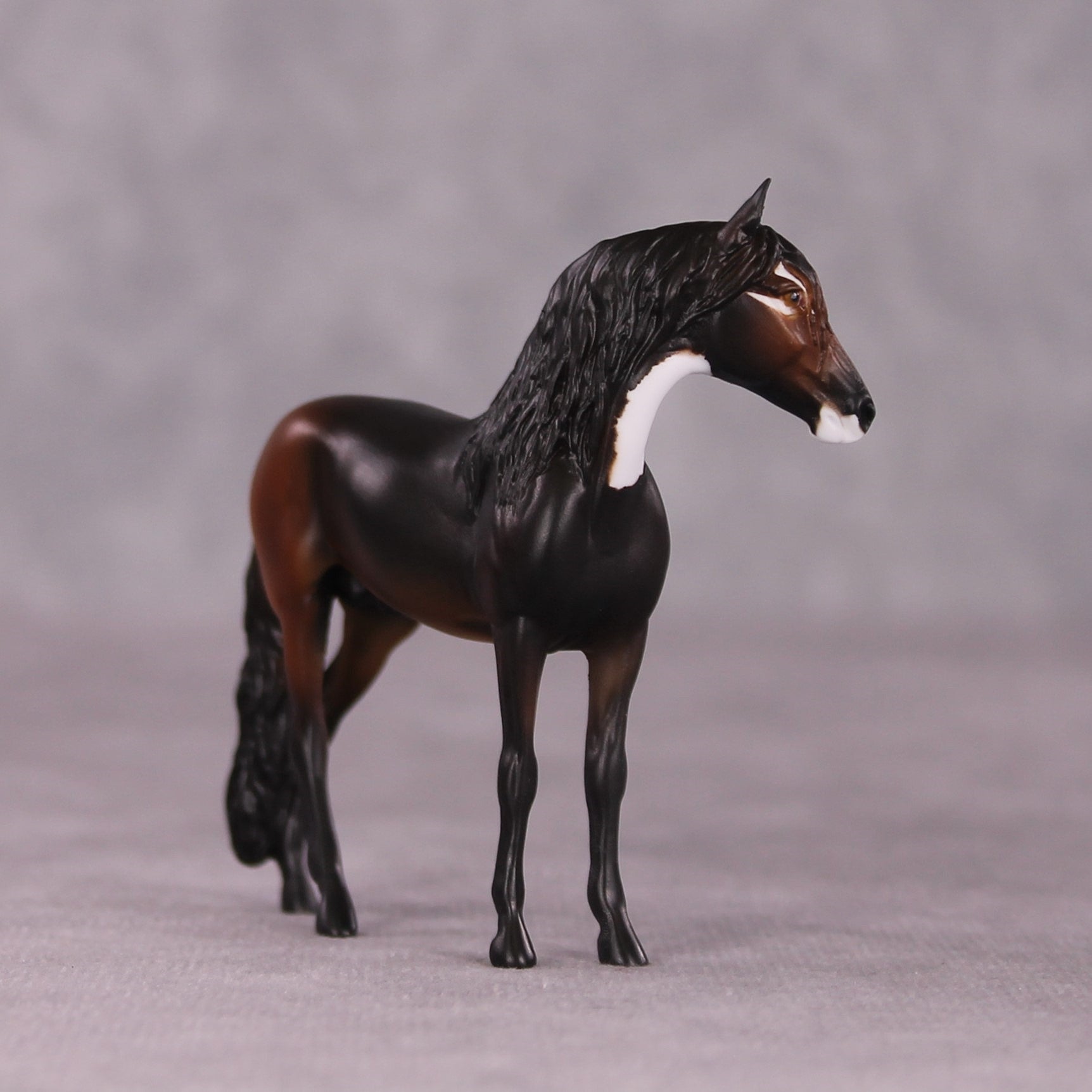 "Mmusi" FCM Andalusian Chip by Tegan Davis