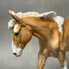 Lemon Meringue OOAK Custom Palomino Tobiano Mule By Ellen Robbins Best Offers 8/27/24