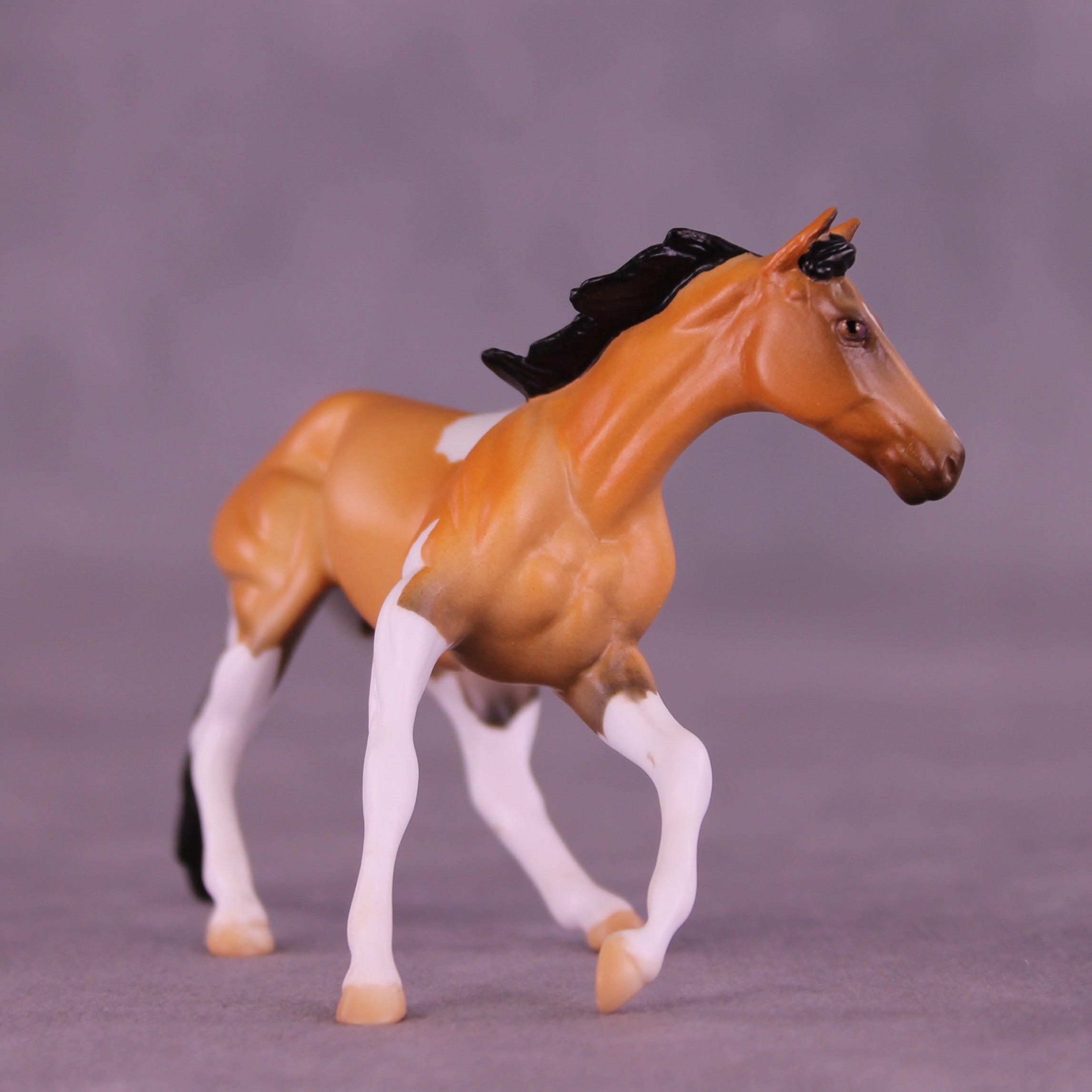 Flash LE-5 Chip Cutting Horse by Anna Rieck February $99 Chips