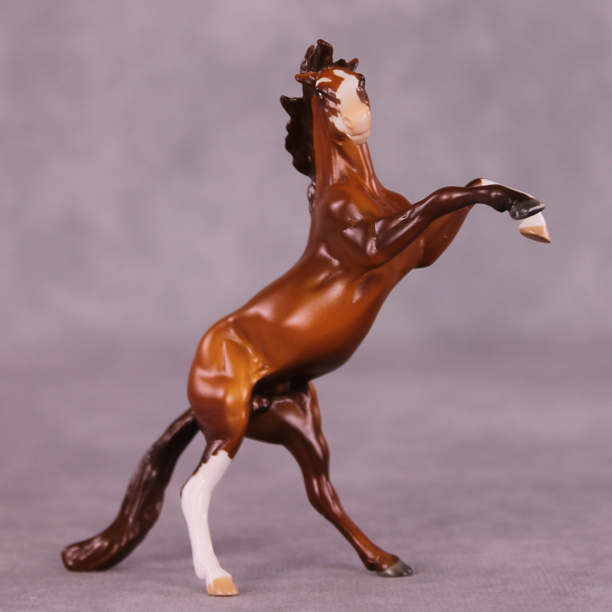 Maurice OOAK Rearing Chip by Anna Rieck LHS25