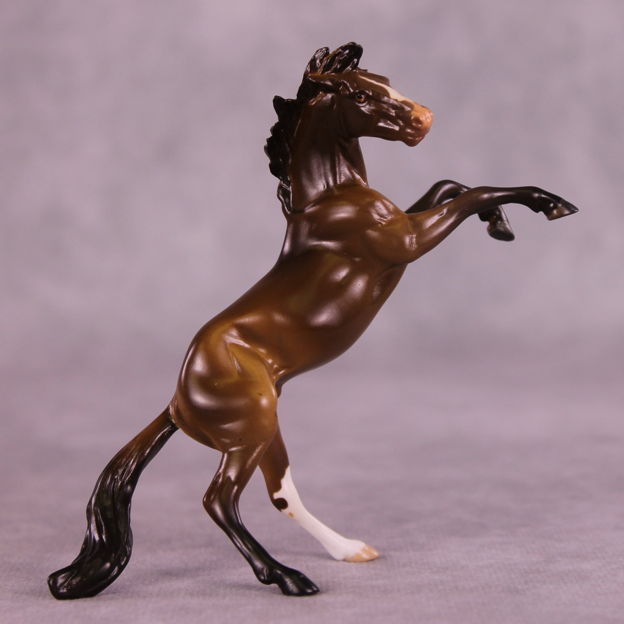 Winthrop OOAK Rearing Chip by Anna Rieck LHS25