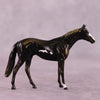Halcyon OOAK Thoroughbred Chip by Kike Duarte EQ25