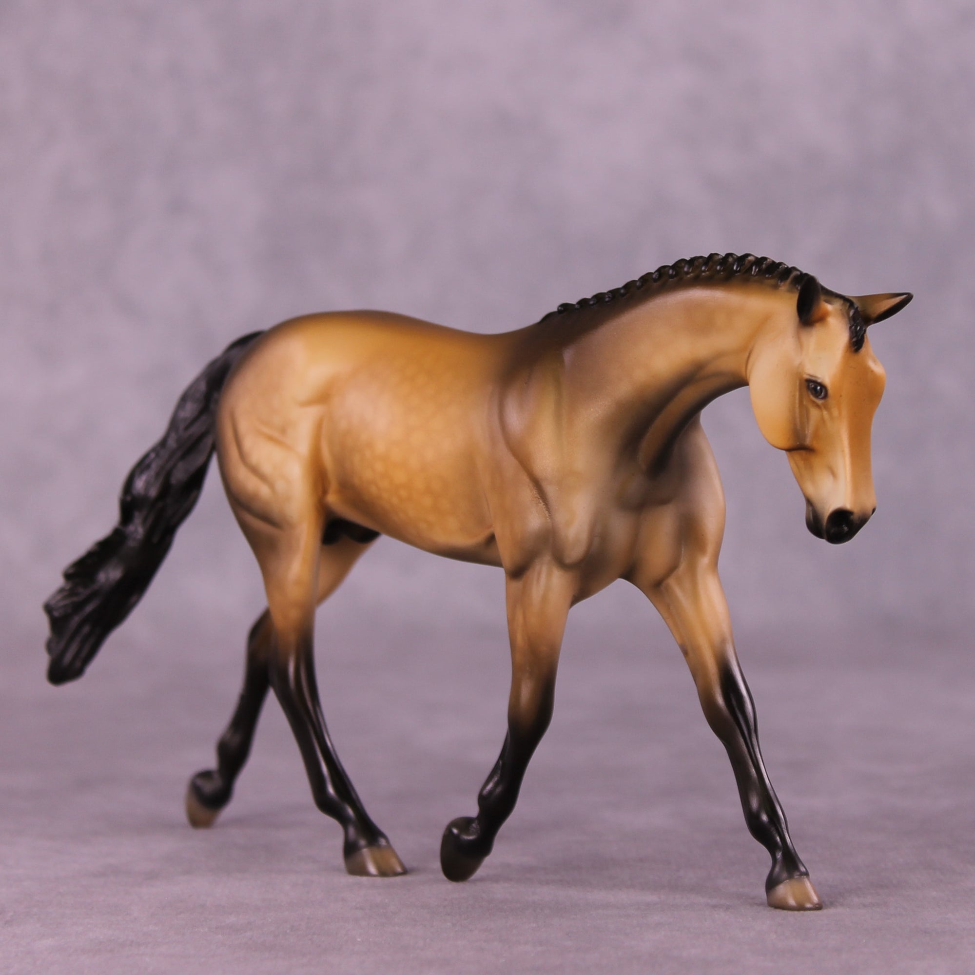 Paramore OOAK Pebble Warmblood by Dawn Quick LHS25