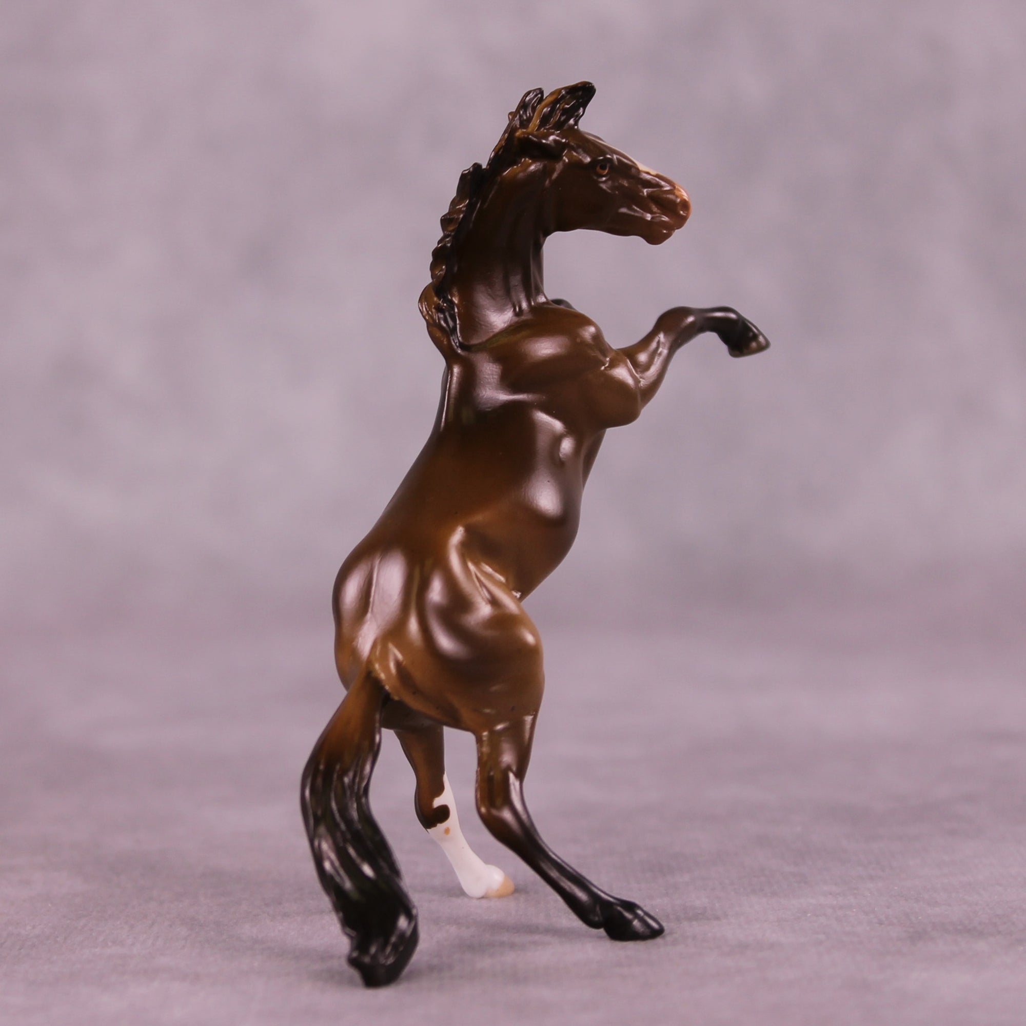 Winthrop OOAK Rearing Chip by Anna Rieck LHS25